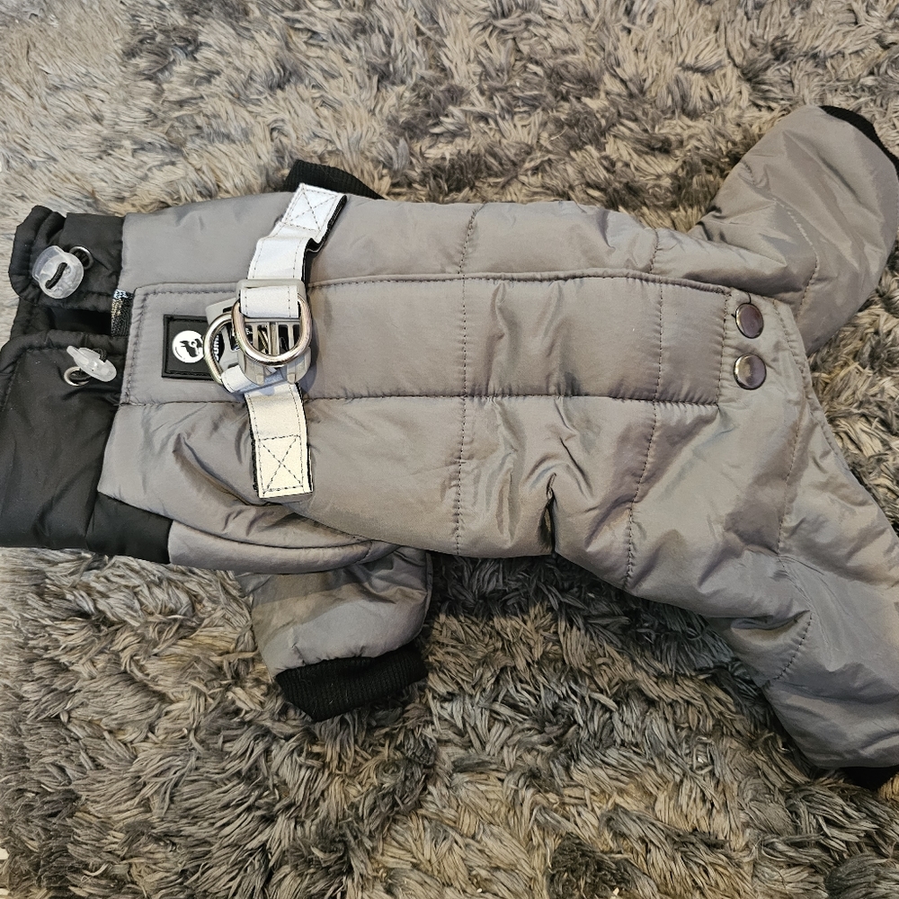 Dog snowsuit